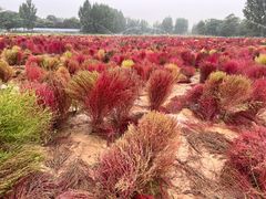 -汉长安城未央宫国家考古遗址公园