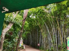 -海南热带野生动植物园