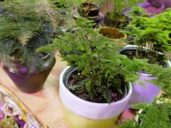 -国家植物园(地铁站)