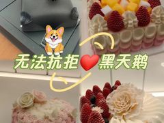 -BLACKSWAN黑天鹅(环球店)