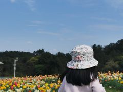 -保利石象湖景区