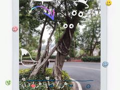 -板樟山森林公园