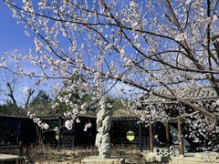-三里河公园