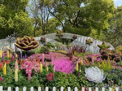 -上海共青森林公园