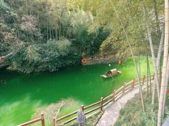 -十八棵（老龙井）御茶园(老龙井店)