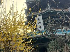 -大学习巷清真寺