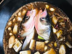 -姥家大锅台水库渔家