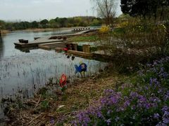 -昆山城市生态森林公园