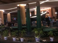 -华雅花园大酒店