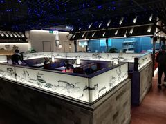 -客语客家菜(佳兆业广场店)