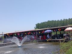 -同銮特种养殖场·龙虾垂钓