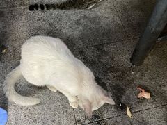 -揭阳钟记小食(福田新村店)