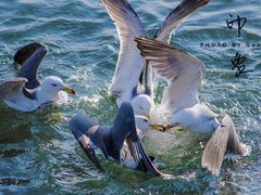 -那香海钻石沙滩浴场