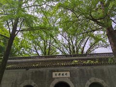 -镇江市南山风景名胜区竹林景区