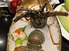 -Mr·Fish鱼鲜生海鲜放题(银泰in99店)