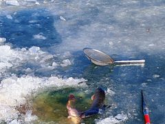 -红栌温泉山庄生态美食餐厅