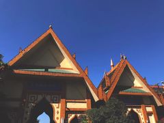 -云南勐巴娜西珍奇园