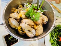 一桶黄蚬-渔娘渔家丹东海鲜(东直门店)