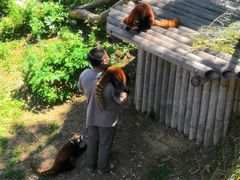 -大连森林动物园