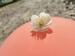 -石湖景区