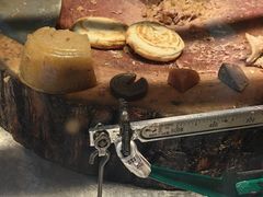 -永茂驴肉(莲池南大街总店)