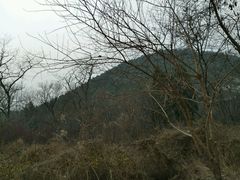 -水池山公园