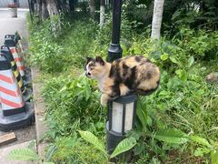 -清心素食自助餐厅(夫子庙店)