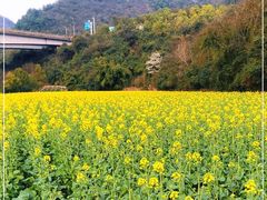 -贵阳市花溪国家城市湿地公园