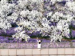 -江苏三台山国家森林公园