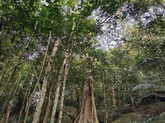 -七仙岭温泉国家森林公园