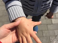 -朝阳公园真人CS