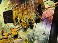 -雷老虎烧烤(西街店)