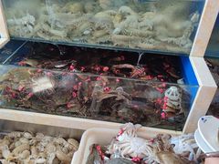 -春华海鲜城(广场西苑店)