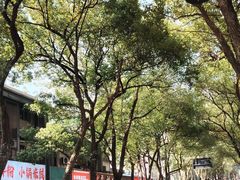 -杭州半山国家森林公园