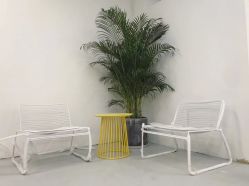 -T8 SALON