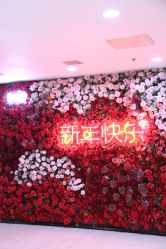 -北京叶子整形美容医院