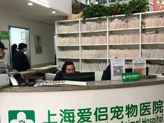 -爱侣宠医·鹦鹉专科·小型哺乳类·异宠专科(灵石路店)
