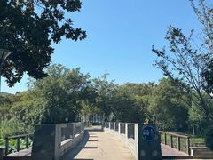 -长广溪湿地公园