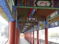 -西安大兴汤院遗址公园