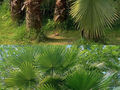 -桤木河湿地公园