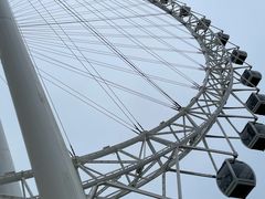 -日照海滨国家森林公园