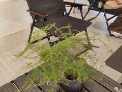 -茶月山·潮汕工夫茶饮(乐峰广场店)