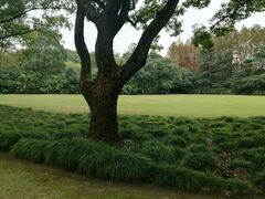 -西郊宾馆·1921餐厅