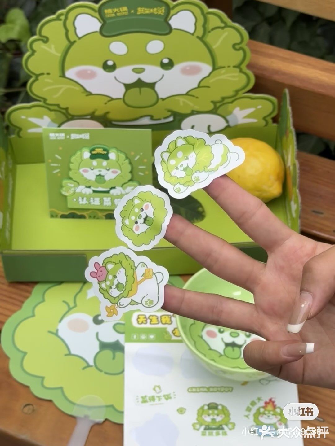一个不吱声。。拥有了🥬🐶啦！！！！ 