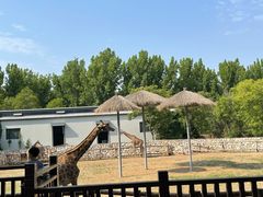 -北京野生动物园