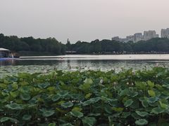 -南翔镇银翔湖公园