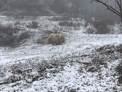 -武陵山森林公园