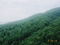 -铁山坪森林公园
