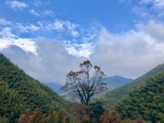 -塔川景区