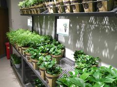 -鹿岛会员店 (龙湖三千集天街店)